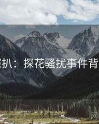 独家深扒：探花骚扰事件背后原因