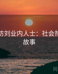 麻豆专访刘业内人士：社会热点幕后故事