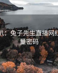 独家深扒：兔子先生直播网红事件流量密码