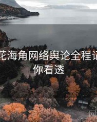 国产探花海角网络舆论全程记录，带你看透