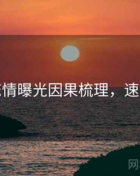 麻豆恋情曝光因果梳理，速来查看