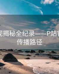 全面影视揭秘全纪录——P站官方官网传播路径