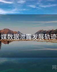 星空传媒数据泄露发展轨迹全追踪