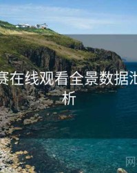 每日大赛在线观看全景数据泄露深解析