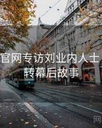 P站官方官网专访刘业内人士：热度反转幕后故事