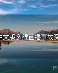 P站中文版多维直播事故深解析