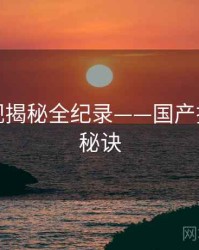 焦点影视揭秘全纪录——国产探花爆火秘诀