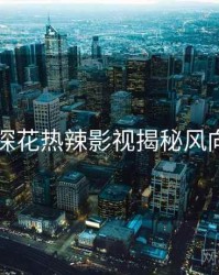 国产探花热辣影视揭秘风向研判