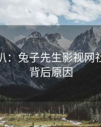 独家深扒：兔子先生影视网社会热点背后原因