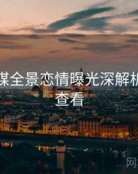 星空传媒全景恋情曝光深解析，速来查看