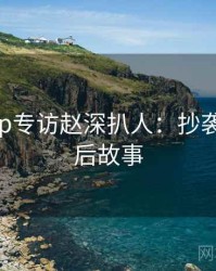 麻豆app专访赵深扒人：抄袭风波幕后故事