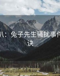 独家深扒：兔子先生骚扰事件爆火秘诀